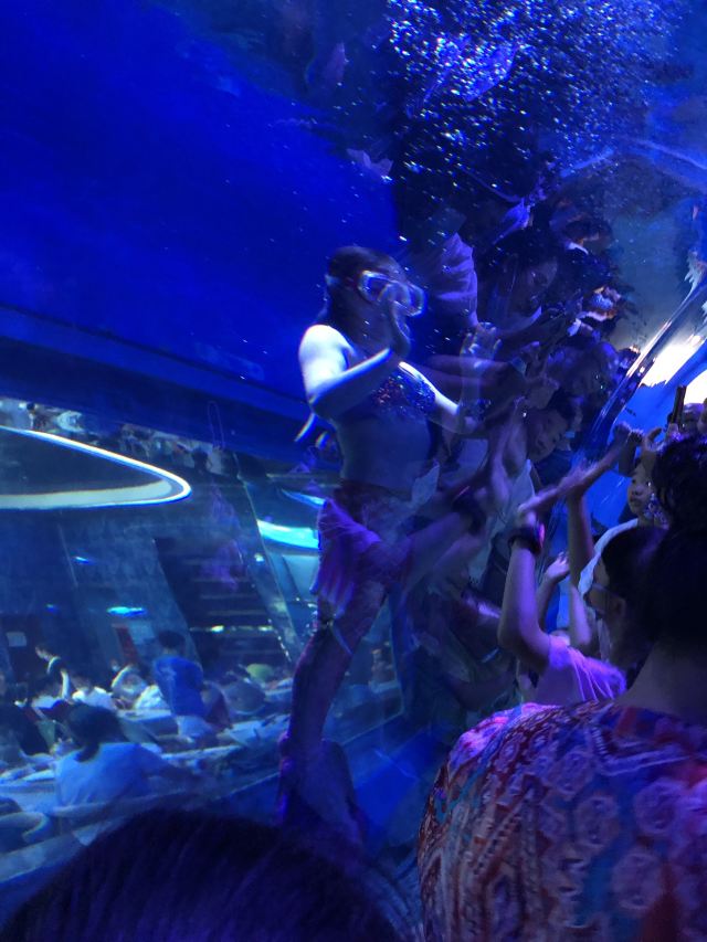 荆州海洋世界旅行图片 1