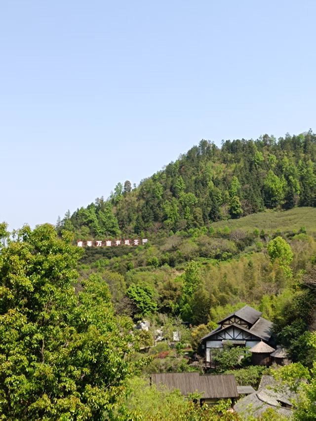 虔心小镇腐竹坊旅行图片 1