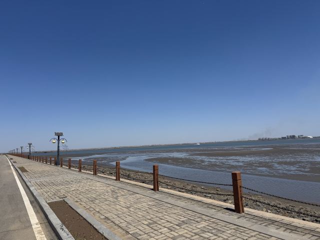 菩提岛旅行图片 1