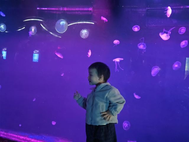 曲江海洋极地公园旅行图片 1