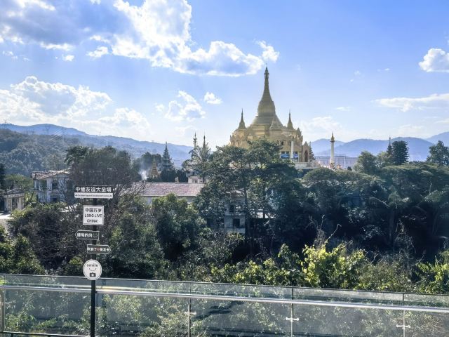 西双版纳独树成林景区旅行图片 6