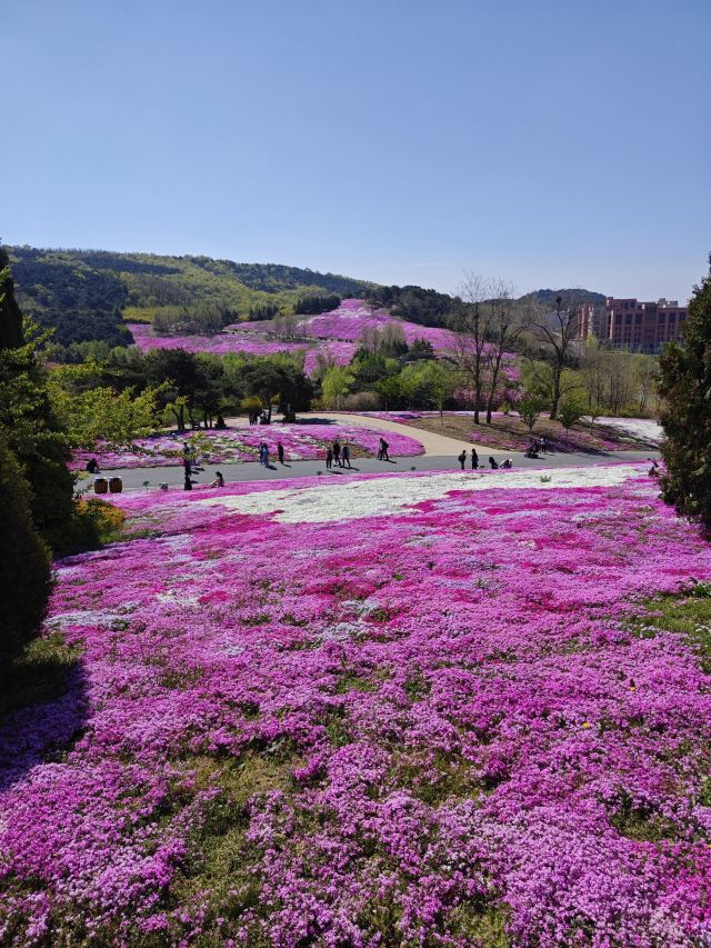 大连英歌石植物园旅行图片 2