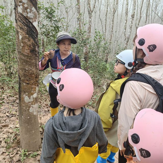 基诺山巴朵村雨林徒步旅行图片 1