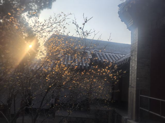 岱庙旅行图片 7