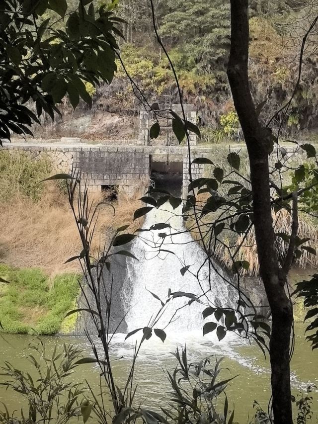 九鲤湖风景区旅行图片 8