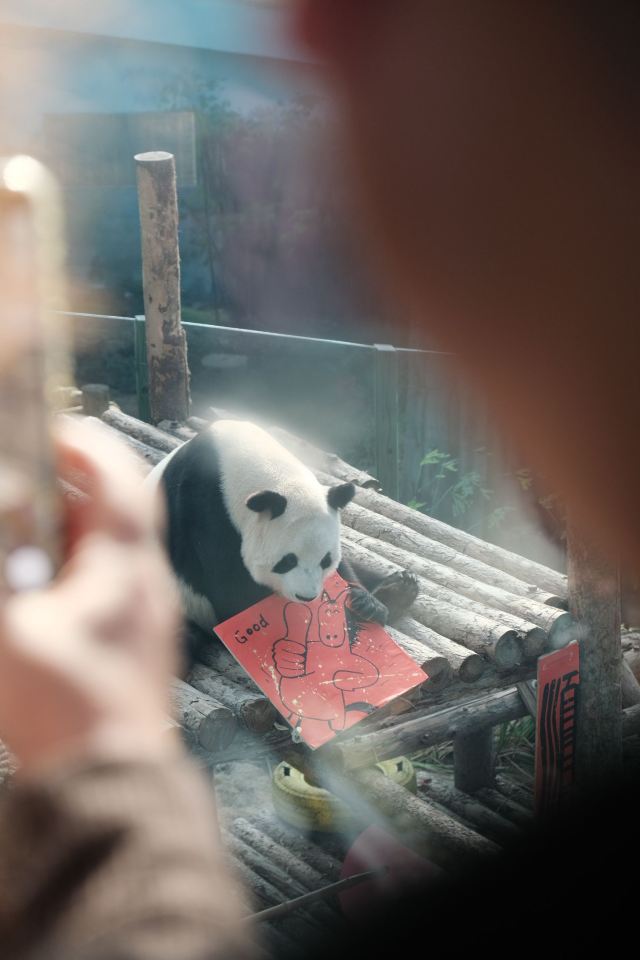 大连森林动物园旅行图片 2