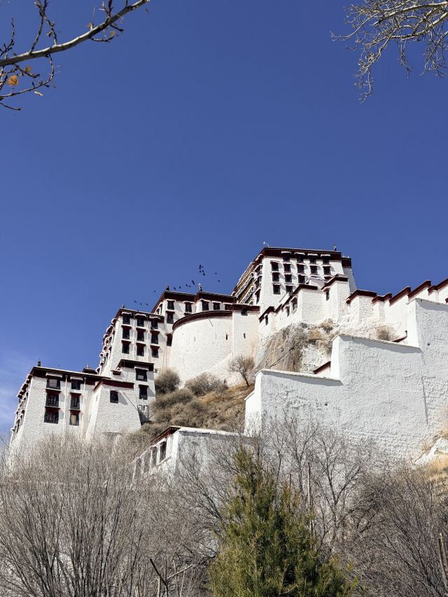 布达拉宫旅行图片 1