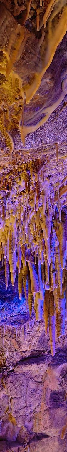 古猿人洞-南京-YoYo_4R5N5B1N