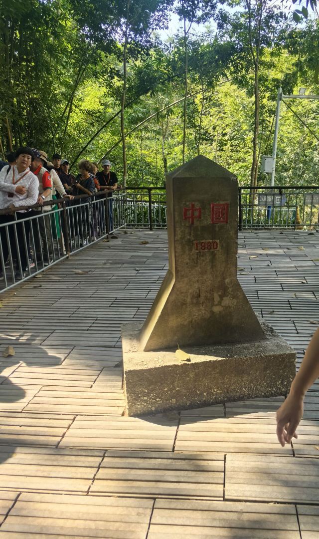 西双版纳独树成林景区旅行图片 5