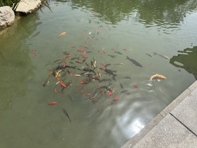 张骞墓景区旅行图片 2
