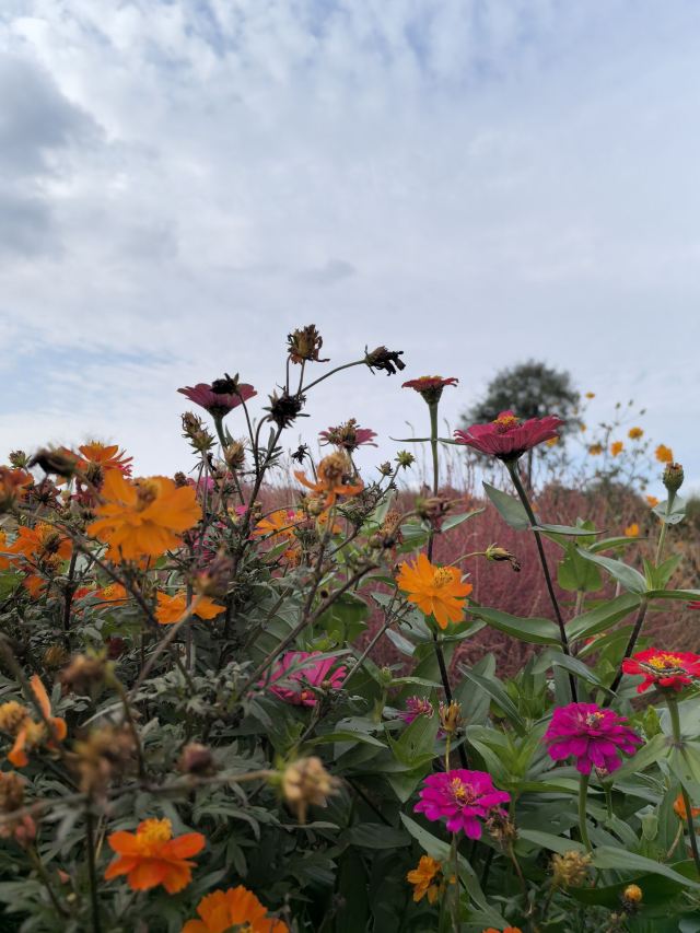 南通洲际梦幻岛旅行图片 3