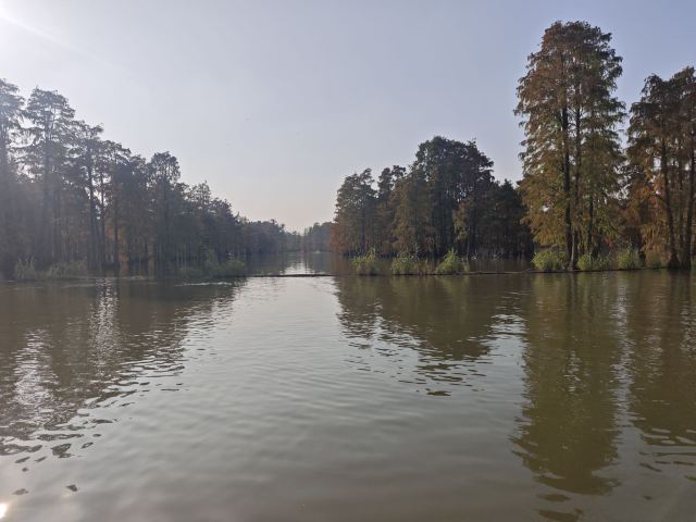 池杉湖国家湿地公园旅行图片 6