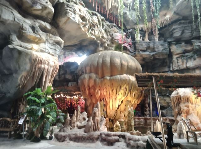 德百奇石观赏园旅行图片 5
