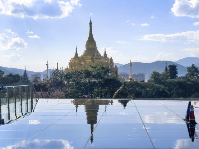 西双版纳独树成林景区旅行图片 5