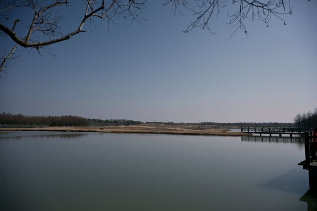 上海东滩湿地公园旅行图片 3