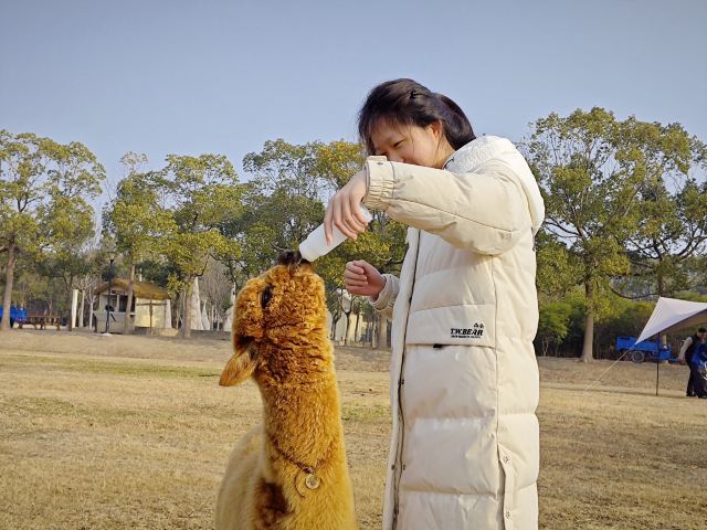 自然卷卷牧野旅行图片 2