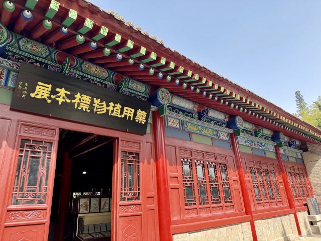 药王山旅行图片 6