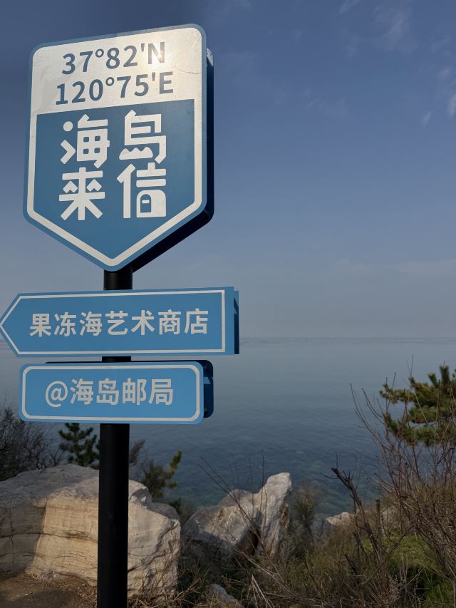 养马岛林间花海旅行图片 3