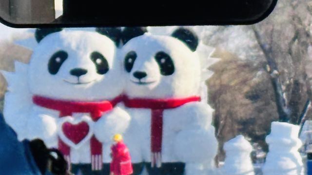 太阳岛大熊猫馆旅行图片 3