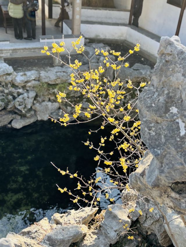 怡园旅行图片 4