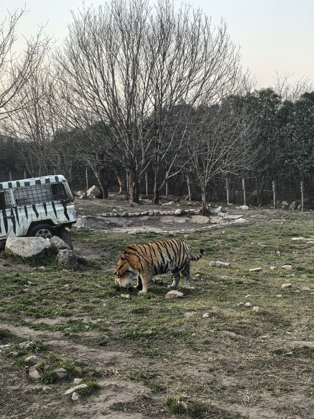 西安秦岭野生动物园旅行图片 1
