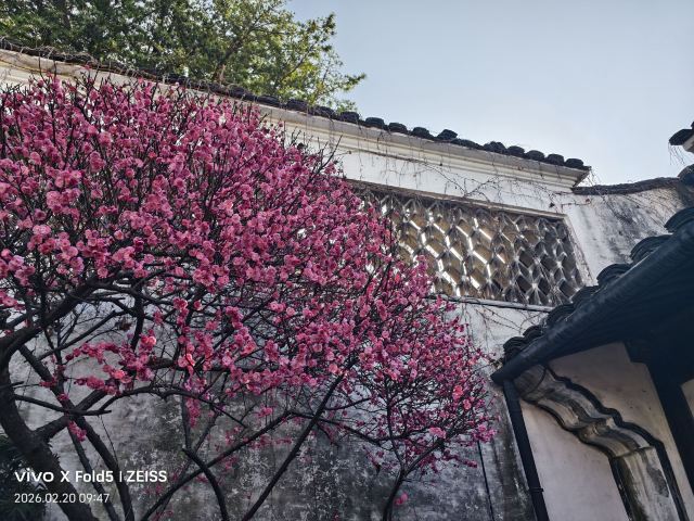 鲁迅故里旅行图片 1