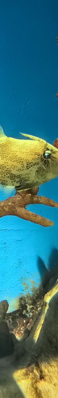 呼和浩特-陌路158