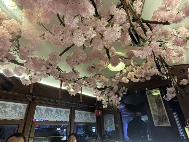 201路百年文旅专列旅行图片 3
