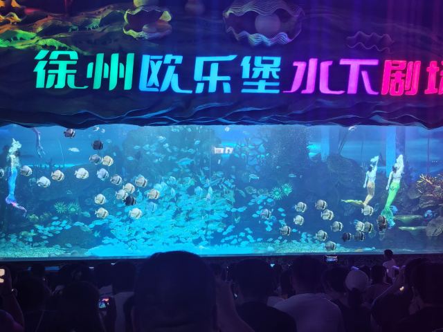 徐州欧乐堡海洋极地世界旅行图片 2