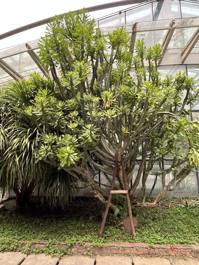 成都植物园旅行图片 8