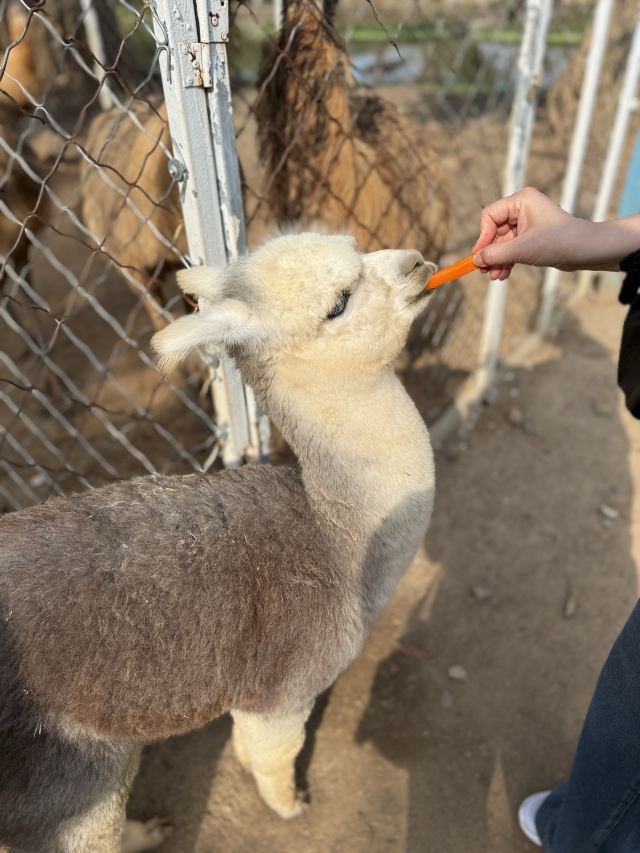 海南热带野生动植物园旅行图片 2