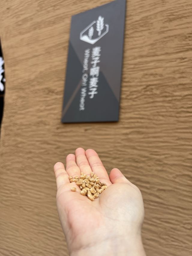只有河南·戏剧幻城旅行图片 7