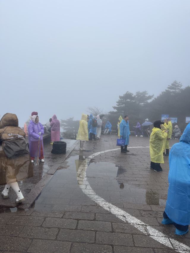黄山风景区旅行图片 5