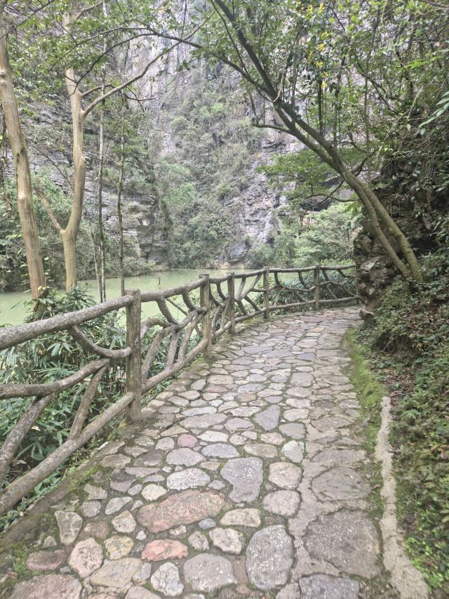 张家界大峡谷旅行图片 2