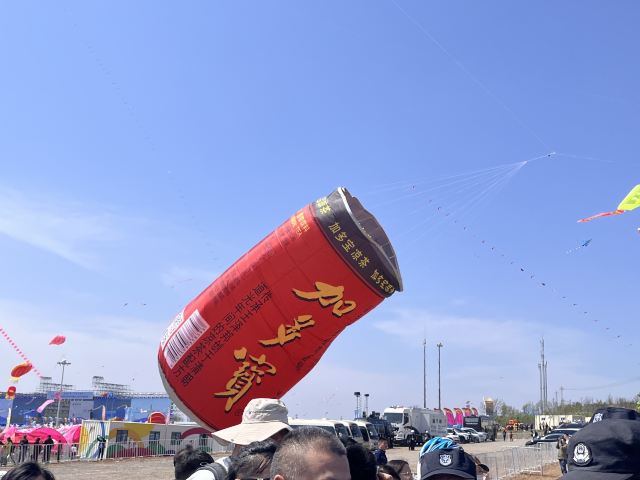 世界风筝公园旅行图片 3