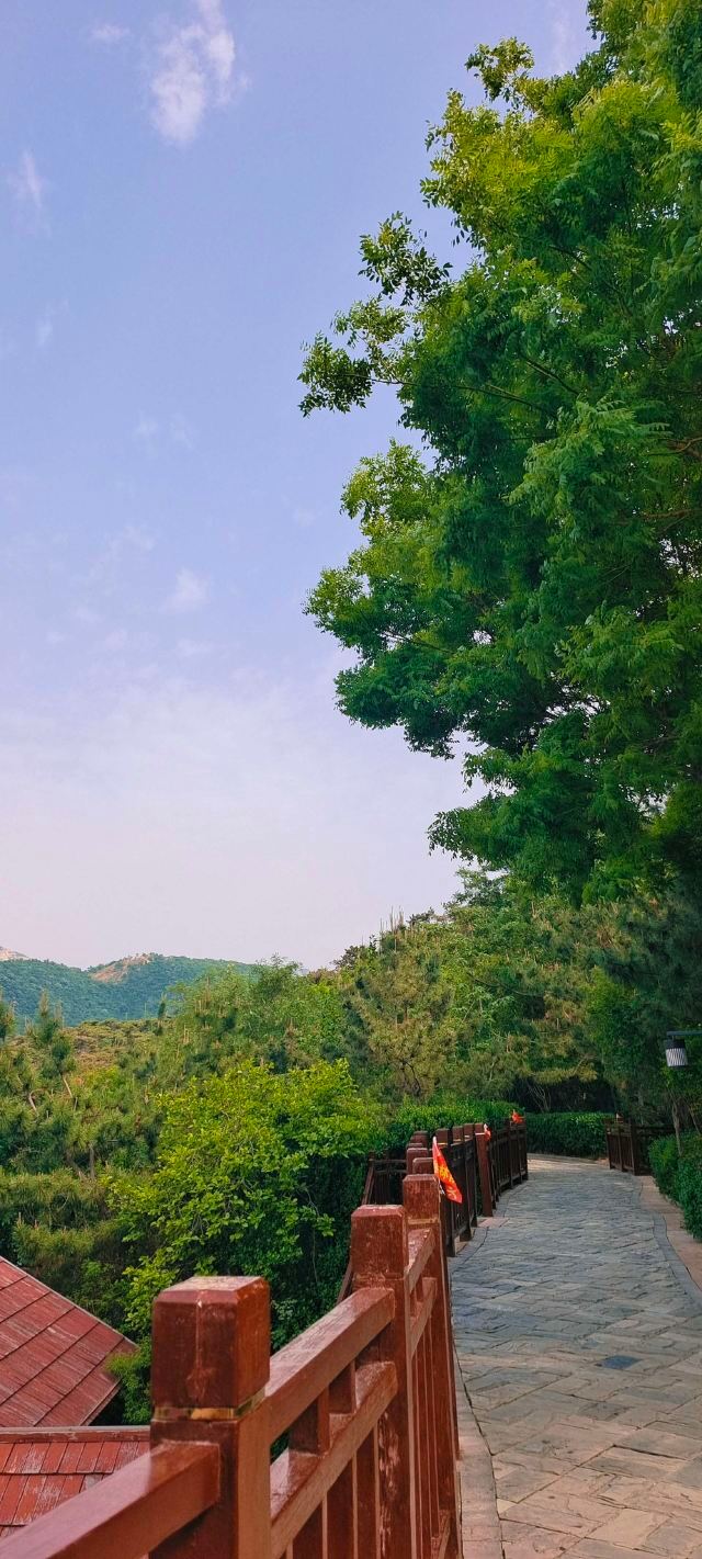 徂徕山森林温泉康养中心旅行图片 2
