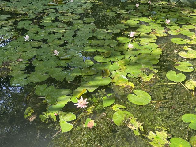 龙宫风景区旅行图片 4