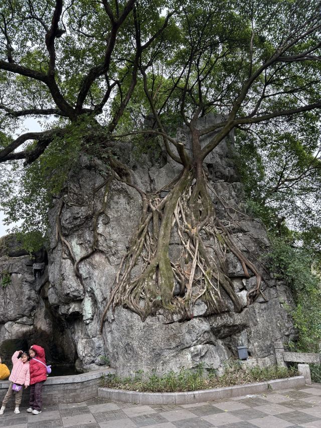 七星景区旅行图片 3