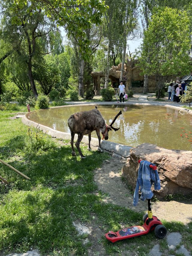 长春市动植物公园旅行图片 4