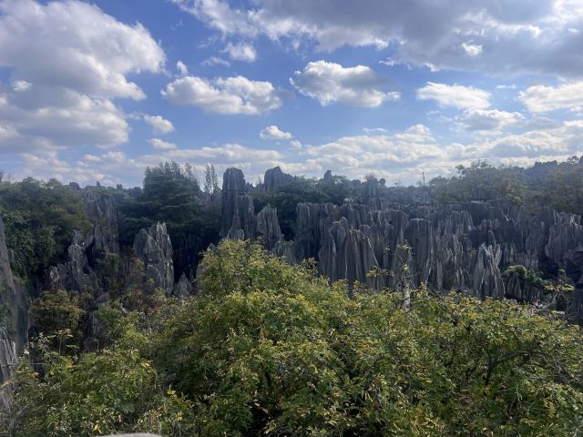 石林风景区旅行图片 2