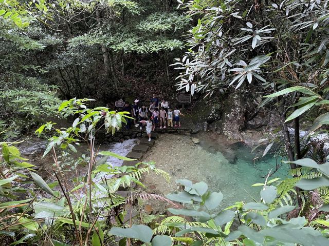 箬寮原始森林旅行图片 2