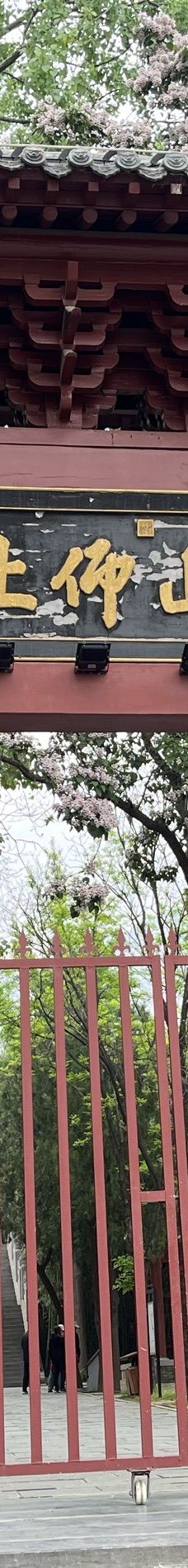 嵩阳书院-登封-嬿子嬿子