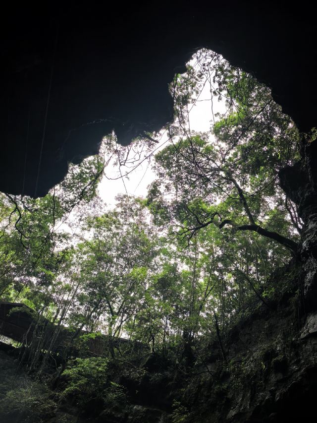 荔波酷玩森林旅行图片 2