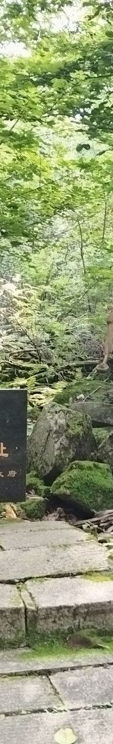 铧子山森林公园-通河-YoYo_1M2K3B2I