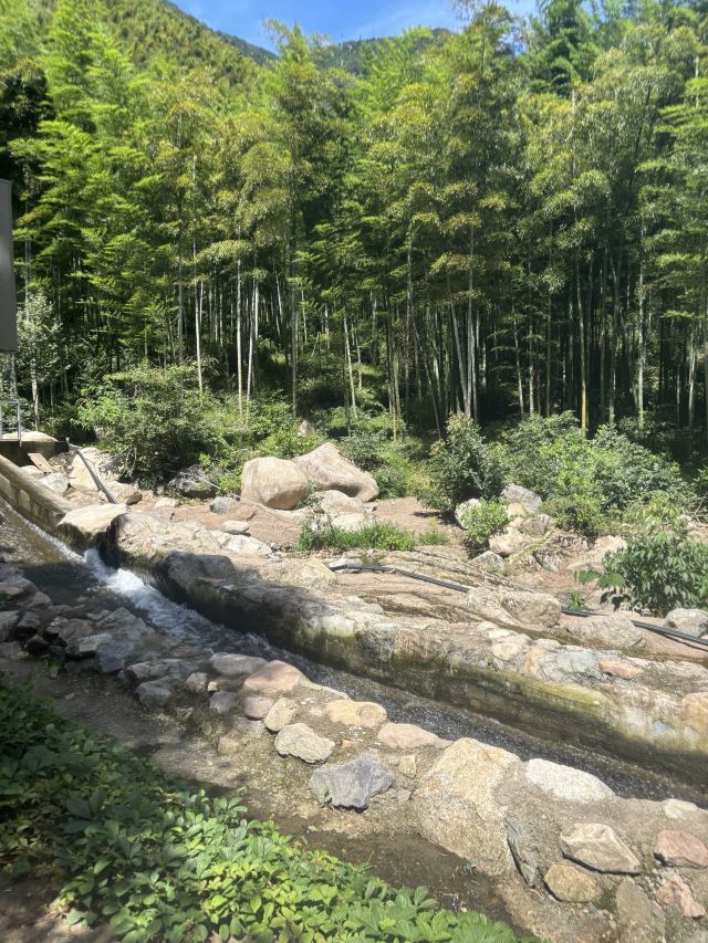 云上草原七星谷旅行图片 2