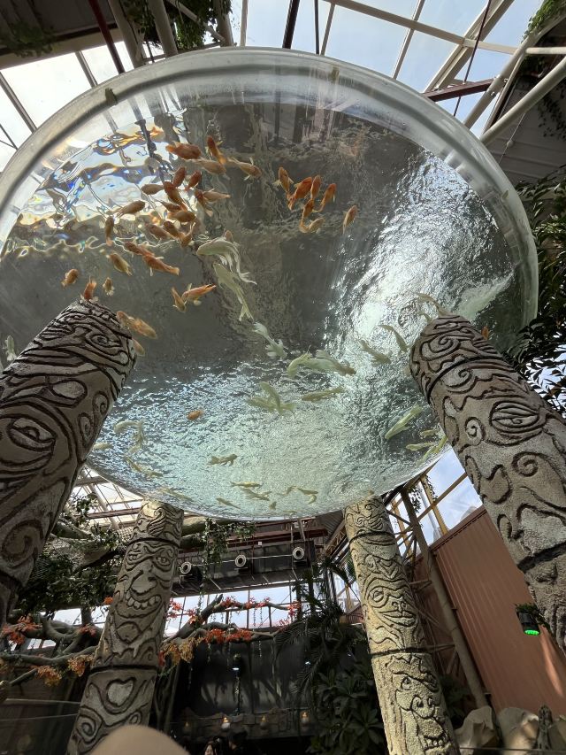 长沙湘江海洋王国旅行图片 2