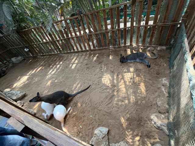 长沙湘江海洋王国旅行图片 2