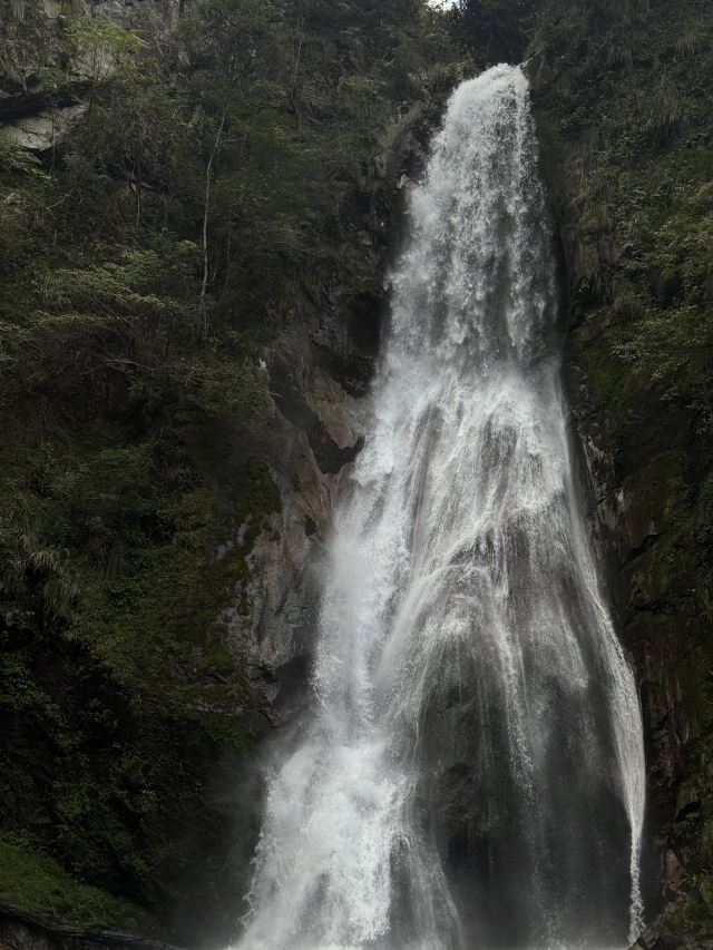 炎陵县神农谷国家森林公园旅行图片 4