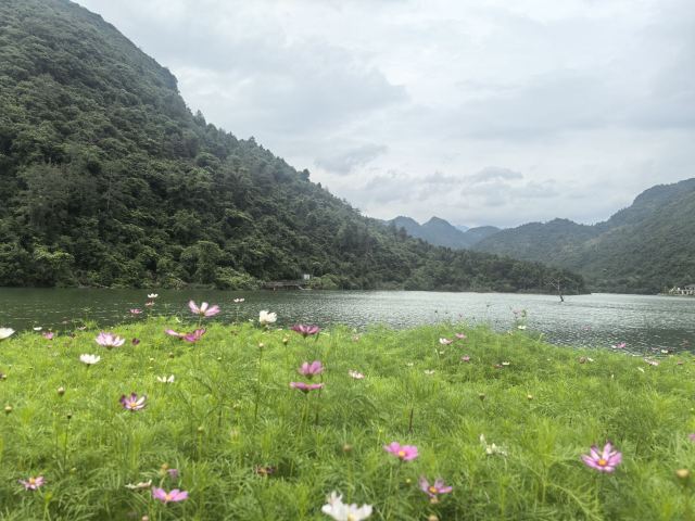 蓝山源岭南东方温泉旅行图片 5