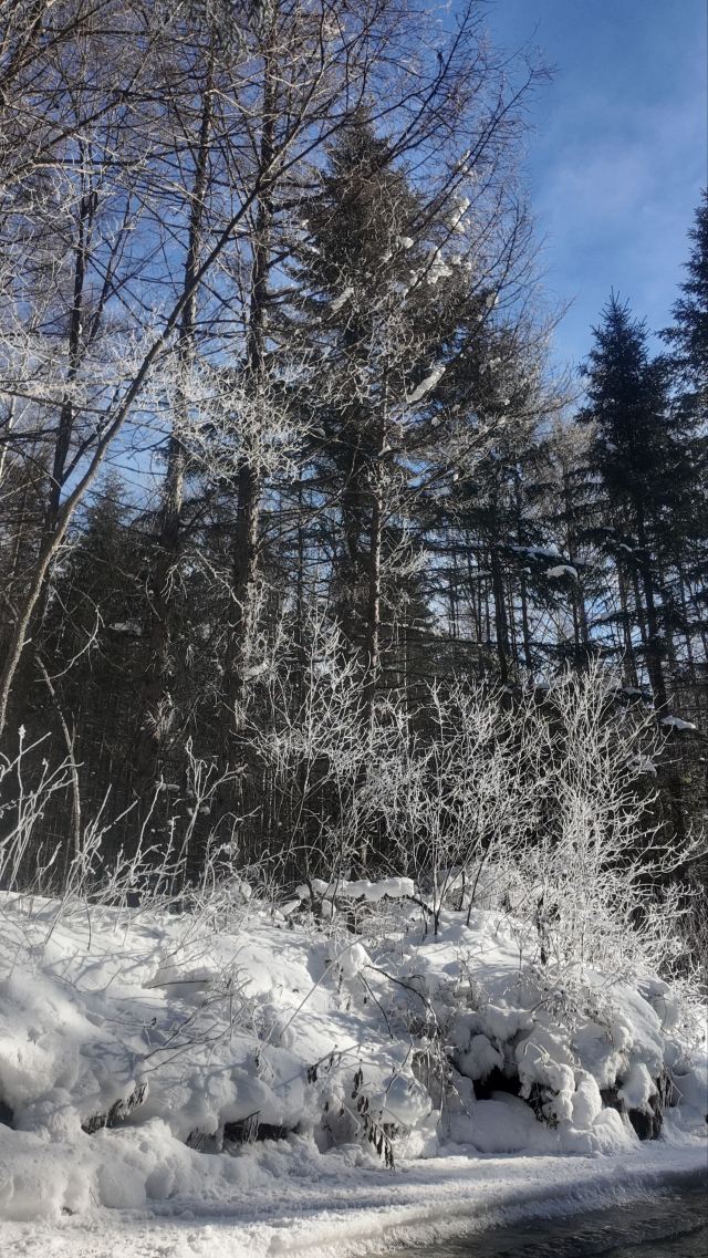 长白山西麓白溪全域漂流风景区旅行图片 5